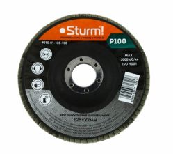 Коло зачистне пелюсткове Sturm 125x22мм №100 9010-01-125-100
