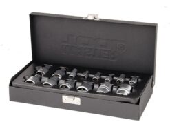 Набор головок торцевых E-TORX MASTERTOOL ¼" E4-E10 ½" E10-E22 CrV 14 шт металлический кейс 78-1414