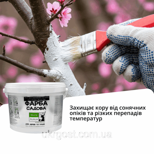Фарба для садових дерев лікувально-захисна Aurum 1,4 кг - Зображення 4