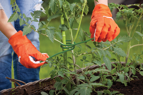 Дріт садовий SOFT 5мм х 4м з м'якого ПВХ, TYDS5X4 - Зображення 2