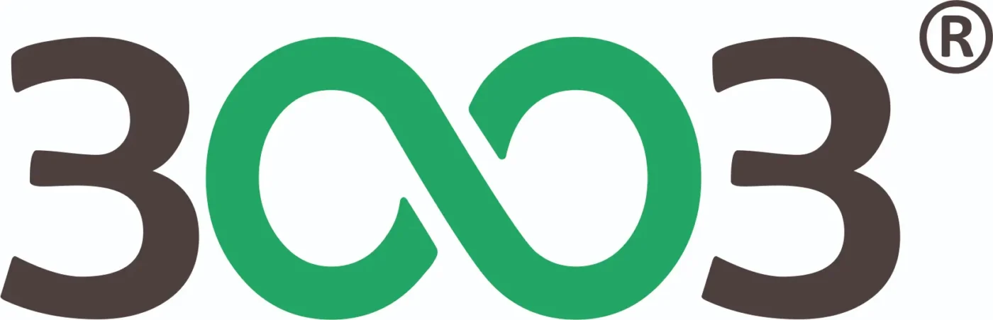 3003